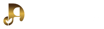 Logo Anamiland